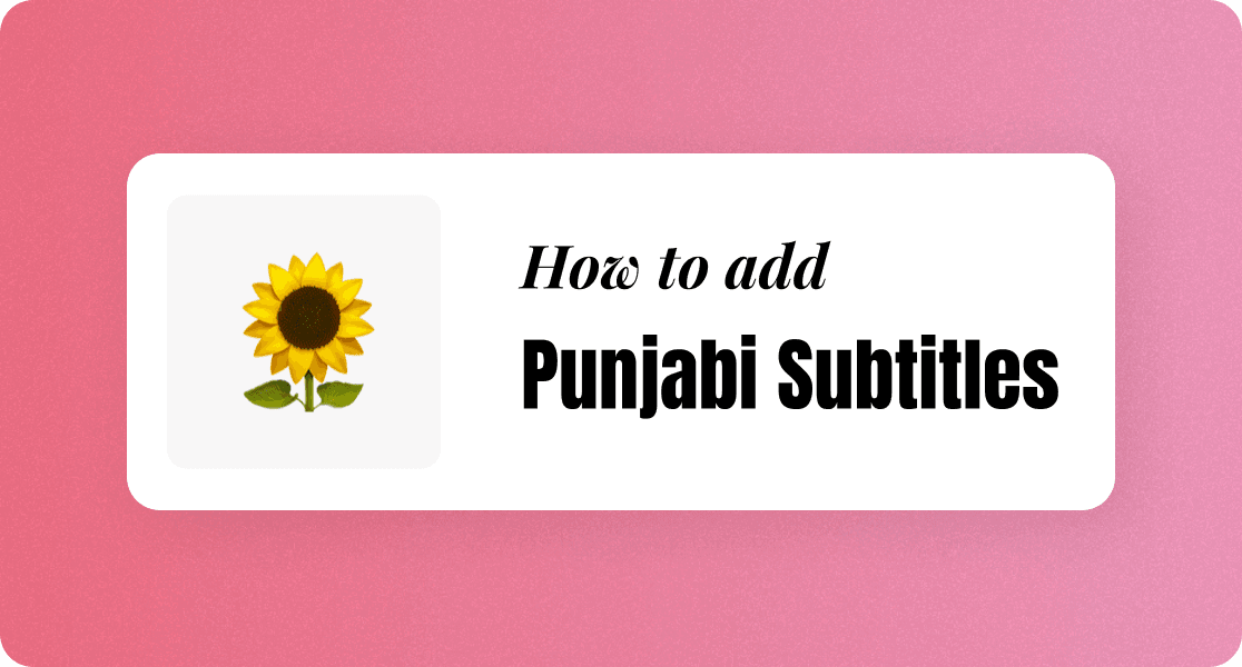 Add Punjabi subtitles to videos